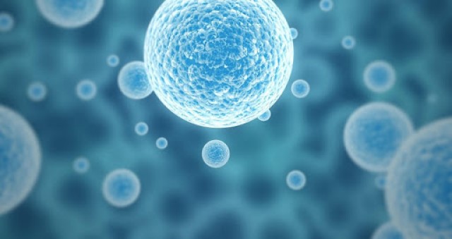 Nhờ có tế bào gốc mà serum có thể kích hoạt gia tăng sản sinh collagen
