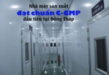 nha-may-san-xuat-dat-chuan-C-GMP