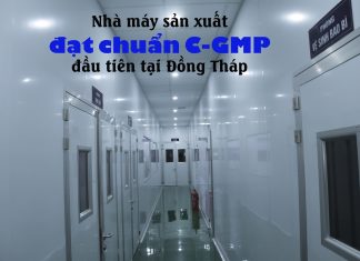nha-may-san-xuat-dat-chuan-C-GMP